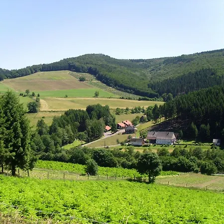 Geraeumiges Mit Privater Terrasse Vakantiehuis
